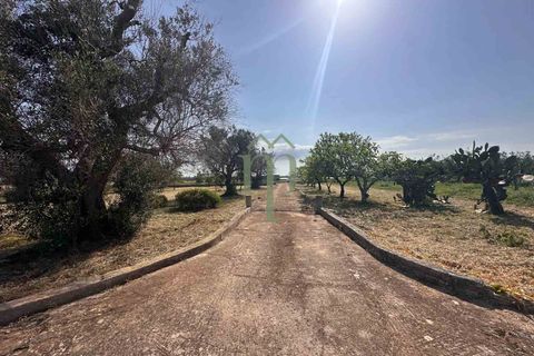 Ruin i Brindisi, Brindisi, Brindisi - € 34 000 | Ref: Lamia Melograno - foto 27